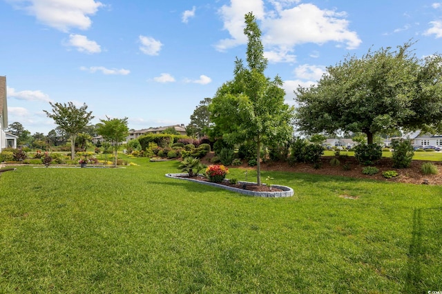 605 Ginger Lily Way, Little River, SC 29566 - view of green lawn