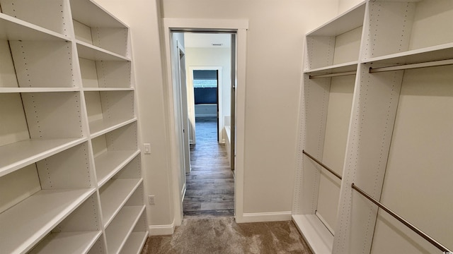 walk in closet with carpet flooring