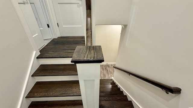 stairway featuring wood finished floors