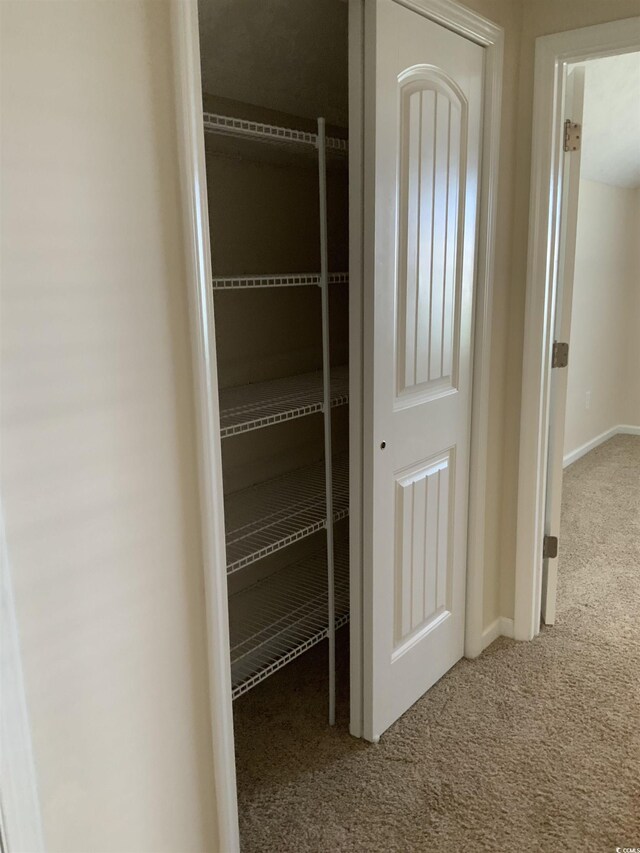 739 Shell Creek Cir Unit 739, North Myrtle Beach, SC 29582 - view of closet