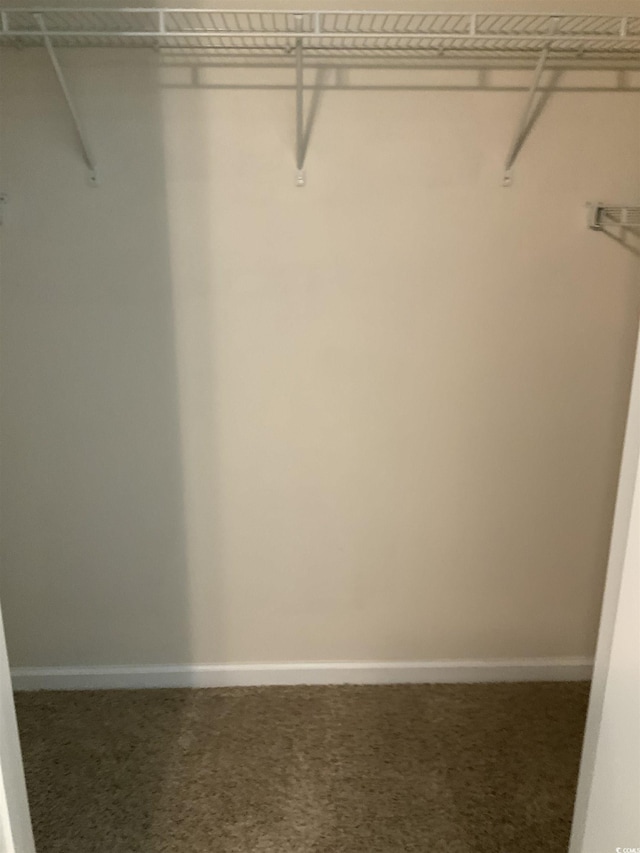 739 Shell Creek Cir Unit 739, North Myrtle Beach, SC 29582 - spacious closet featuring carpet floors