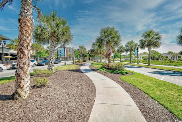 1141 Prescott Cir, Myrtle Beach, SC 29577 - view of surrounding community