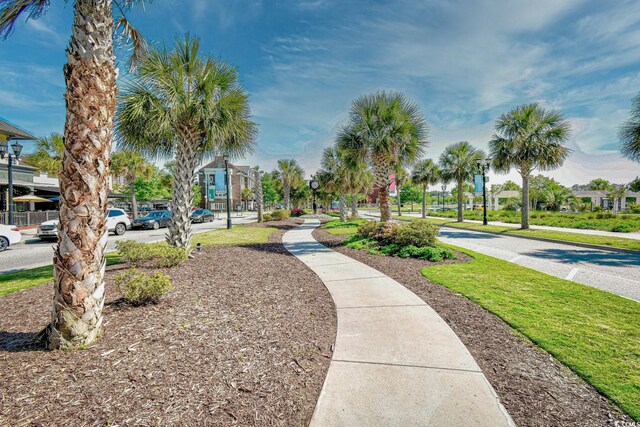 1141 Prescott Cir, Myrtle Beach, SC 29577 - view of property's community