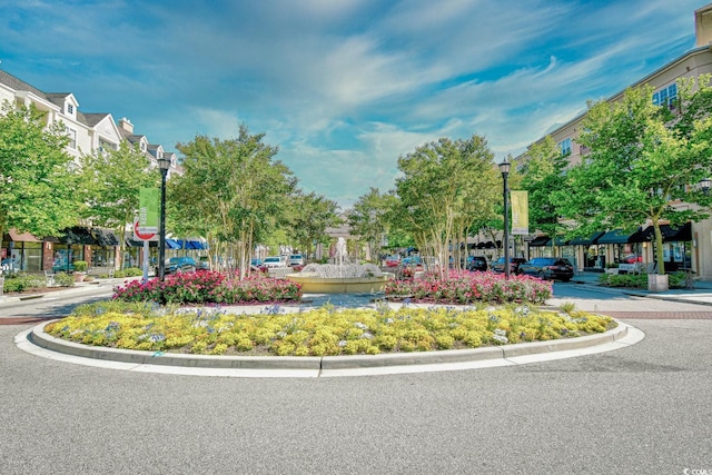 1141 Prescott Cir, Myrtle Beach, SC 29577 - view of community