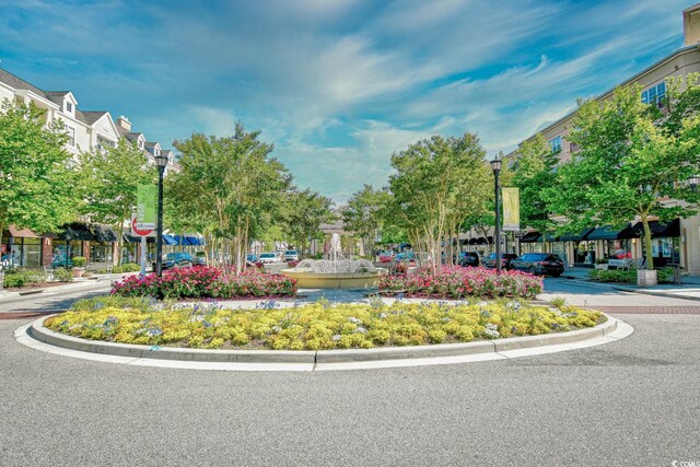 1141 Prescott Cir, Myrtle Beach, SC 29577 - view of property's community
