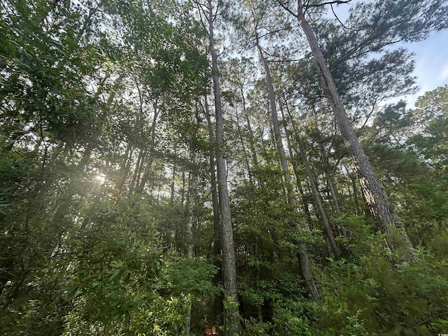 TBD Roscoe Rd, Myrtle Beach, SC 29588
