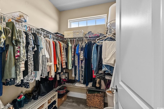 413 Wine Ct, Conway, SC 29527 - view of walk in closet
