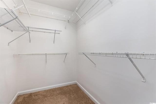 4633 Lightkeepers Way Unit 5-F, Little River, SC 29566 - walk in closet with carpet flooring