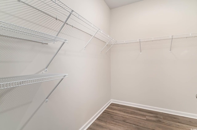 2859 Riverboat Way, Conway, SC 29526 - spacious closet with wood finished floors