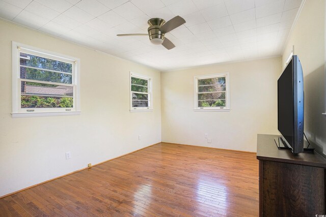 5612 N Kings Hwy, Myrtle Beach, SC 29577 - photo 9