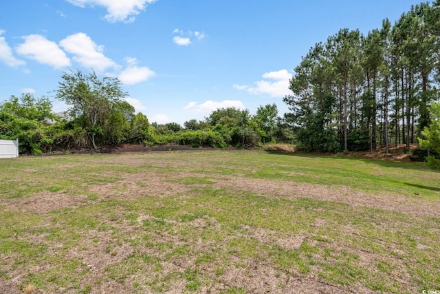 4603 E Walkerton Rd, Myrtle Beach, SC 29579 - photo 36