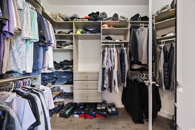 spacious closet featuring wood finished floors