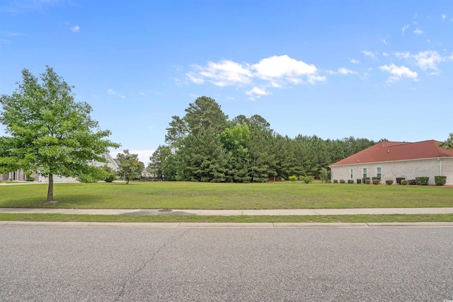 2215 Wood Stork Dr, Conway, SC 29526