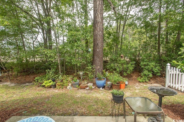 1028 Fairway Ln Unit 71, Conway, SC 29526 - view of yard
