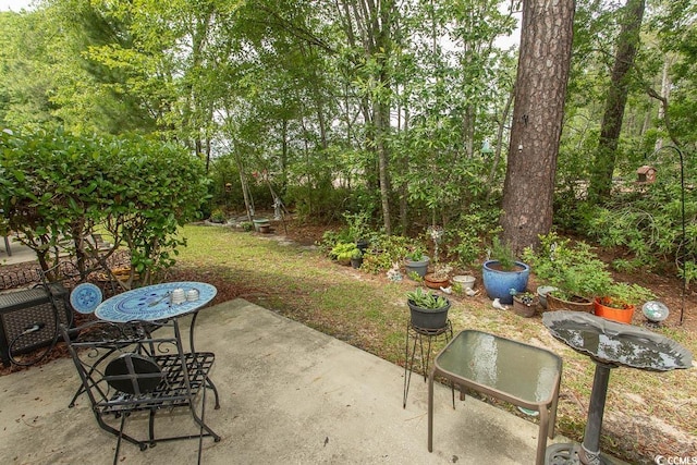 1028 Fairway Ln Unit 71, Conway, SC 29526 - view of yard featuring a patio area