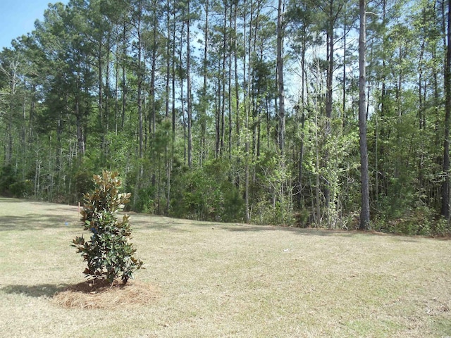 8715 Baton Rouge Ave NW, Calabash, NC 28467 - view of grassy yard featuring a forest view
