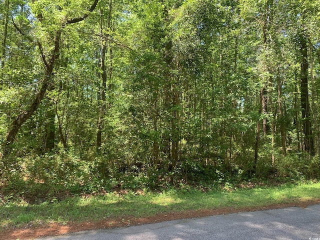 LOT8 S Morgan Ave, Andrews, SC 29510