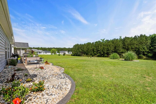 142 Grier Crossing Dr, Conway, SC 29526 - photo 28