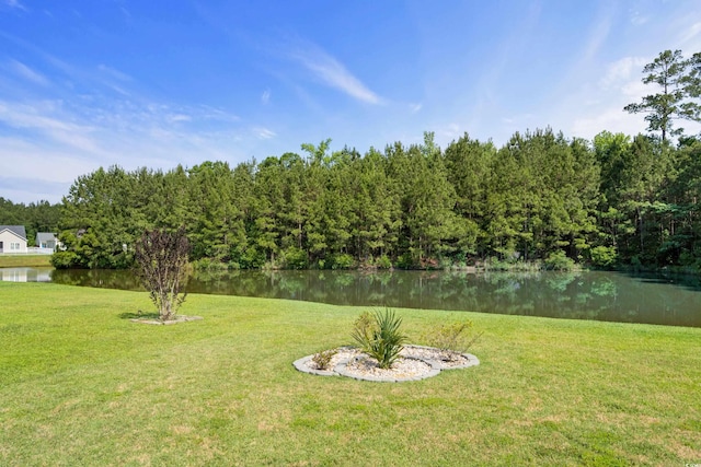 142 Grier Crossing Dr, Conway, SC 29526 - photo 29