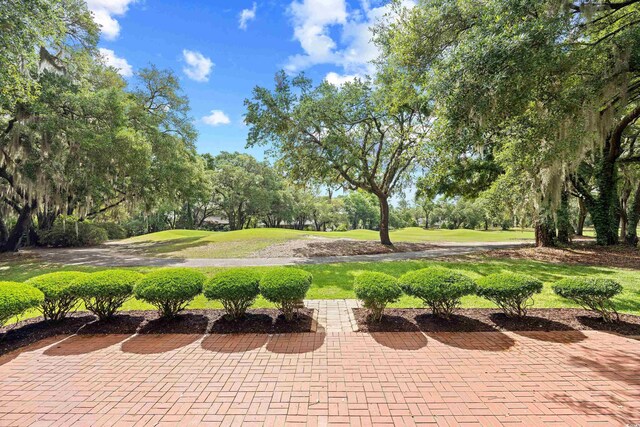 423 Chapman Loop, Pawleys Island, SC 29585 - view of grassy yard with view of scattered trees