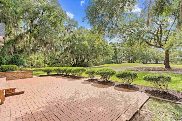 423 Chapman Loop, Pawleys Island, SC 29585 - view of patio with view of wooded area
