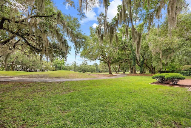 423 Chapman Loop, Pawleys Island, SC 29585 - view of property's community with a lawn and view of wooded area