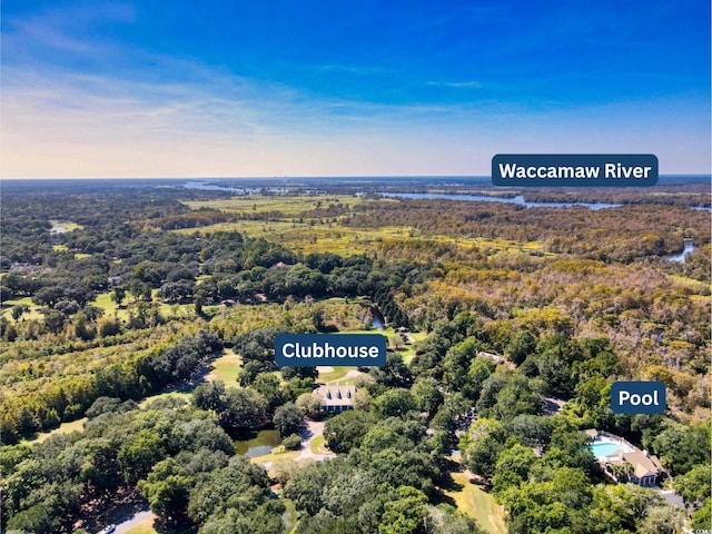 423 Chapman Loop, Pawleys Island, SC 29585 - bird's eye view of a forest and a large body of water
