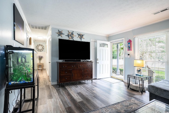 1205 King St, Myrtle Beach, SC 29577 - living area with wood finished floors, ornamental molding, a textured ceiling, and baseboards