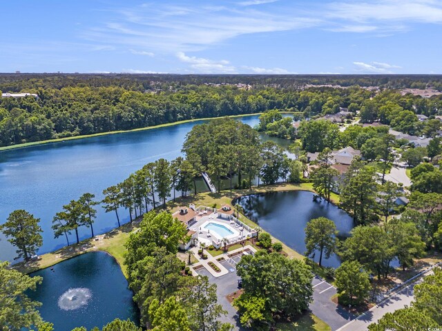 2479 Glen Dr, Little River, SC 29566 - view of property location featuring a large body of water, a heavily wooded area, and a pool