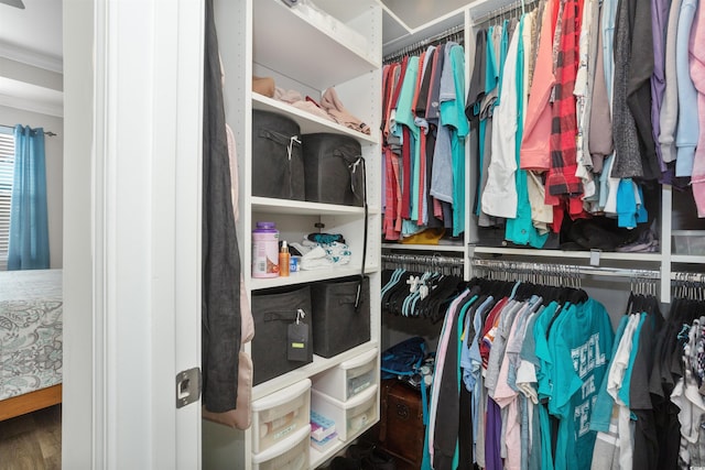 115 Machrie Loop Unit D, Myrtle Beach, SC 29588 - walk in closet featuring wood finished floors