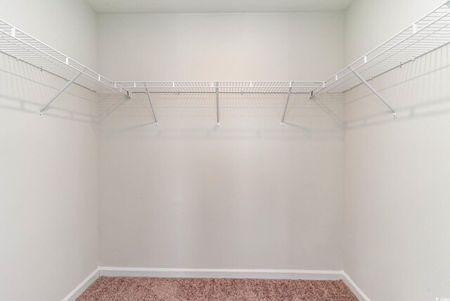 1403 Nokota Dr, Conway, SC 29526 - photo 21