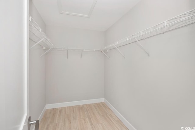231 Marbella Dr, Murrells Inlet, SC 29576 - spacious closet with light wood finished floors