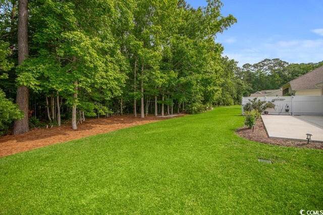 231 Marbella Dr, Murrells Inlet, SC 29576 - view of yard