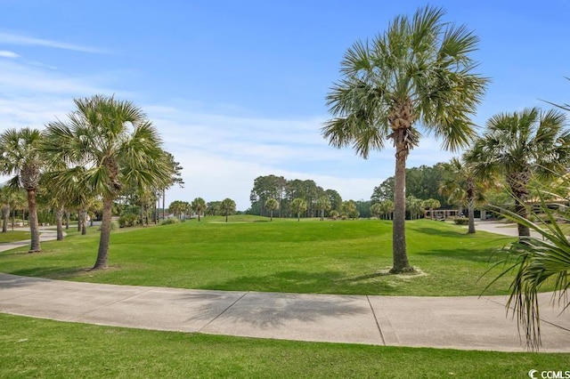 231 Marbella Dr, Murrells Inlet, SC 29576 - view of home's community featuring a lawn