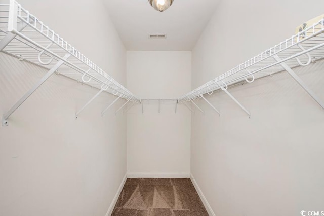 908 Wrigley Dr Unit 17-317-3G, Myrtle Beach, SC 29588 - spacious closet featuring carpet floors