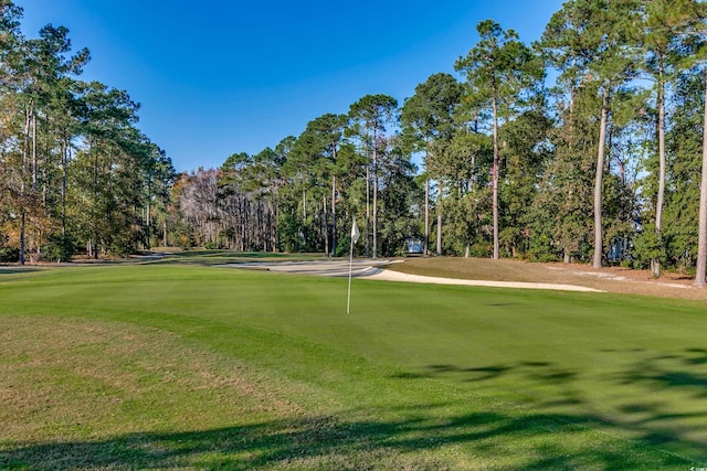 3334 Cedar Creek Run, Little River, SC 29566 - view of property's community featuring view of golf course, a putting green, and view of wooded area