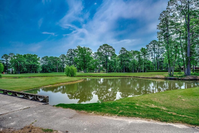 3334 Cedar Creek Run, Little River, SC 29566 - water view