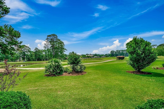 3334 Cedar Creek Run, Little River, SC 29566 - view of property's community featuring golf course view, a water view, a lawn, and view of scattered trees