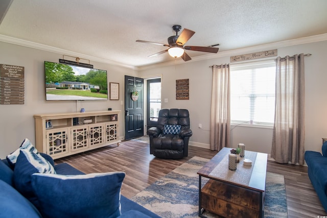 2510 Redwood St, Georgetown, SC 29440 - living area with ornamental molding, wood finished floors, ceiling fan, healthy amount of natural light, and a textured ceiling