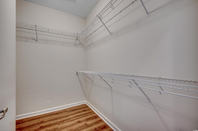 422 S Poplar Dr, Surfside Beach, SC 29575 - spacious closet featuring light wood finished floors