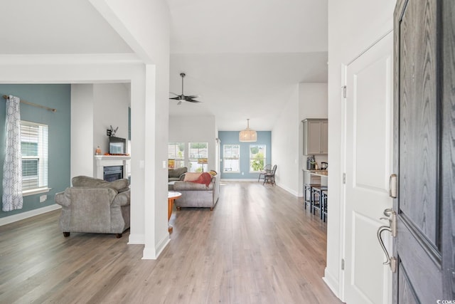 720 Little Fawn Way, Myrtle Beach, SC 29579 - foyer entrance with a fireplace, light wood-type flooring, and healthy amount of natural light