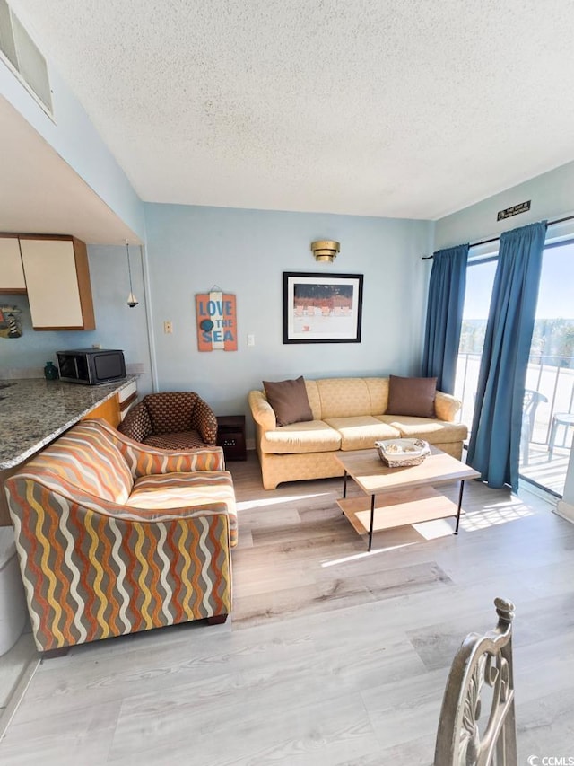 1605 S Ocean Blvd S Unit 105, Myrtle Beach, SC 29577 - living room featuring a textured ceiling and light wood-style flooring