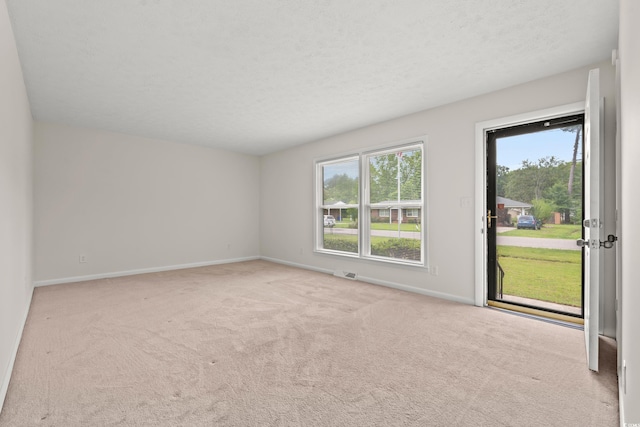 203 Longwood Ln, Conway, SC 29527 - spare room featuring healthy amount of natural light, carpet, baseboards, and a textured ceiling