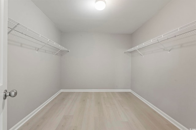 148 Long Leaf Pine Dr, Conway, SC 29526 - spacious closet featuring light wood-style floors