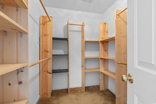 4013 Blackwolf Dr, Myrtle Beach, SC 29579 - spacious closet with carpet