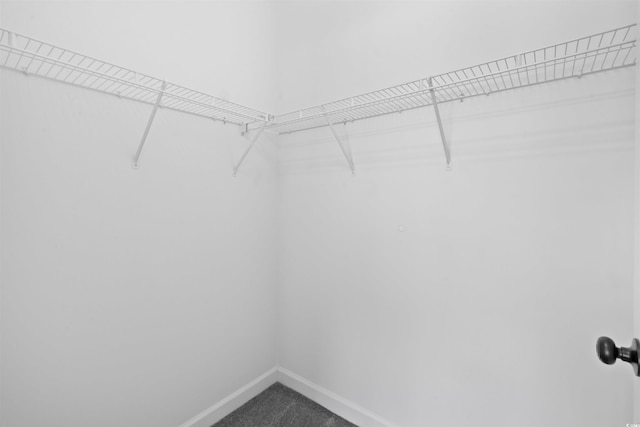 5825 Catalina Dr Unit 124, North Myrtle Beach, SC 29582 - spacious closet featuring carpet floors