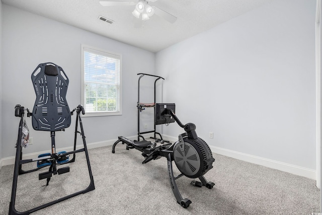 196 La Patos Dr, Myrtle Beach, SC 29588 - photo 28