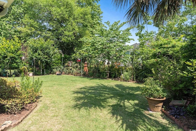2567 Lake Vista Dr, Little River, SC 29566 - view of green lawn