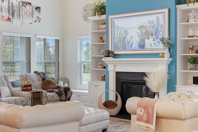 2300 Lark Sparrow St, Myrtle Beach, SC 29577 - living area featuring a glass covered fireplace