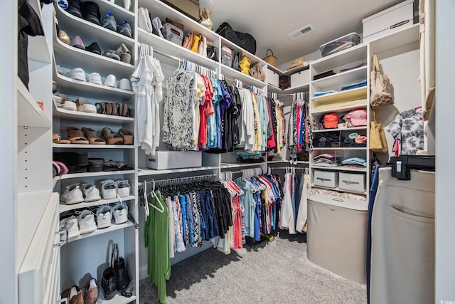 2300 Lark Sparrow St, Myrtle Beach, SC 29577 - spacious closet with carpet flooring
